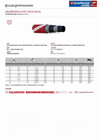 蒸汽胶管-钢丝加固 18BAR-ISO 6134 2A【品牌：意大利TGT(Tubi Gomma Torino)】