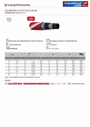 蒸汽胶管-钢丝加固 18BAR-ISO 6134 2B【品牌：意大利TGT(Tubi Gomma Torino)】